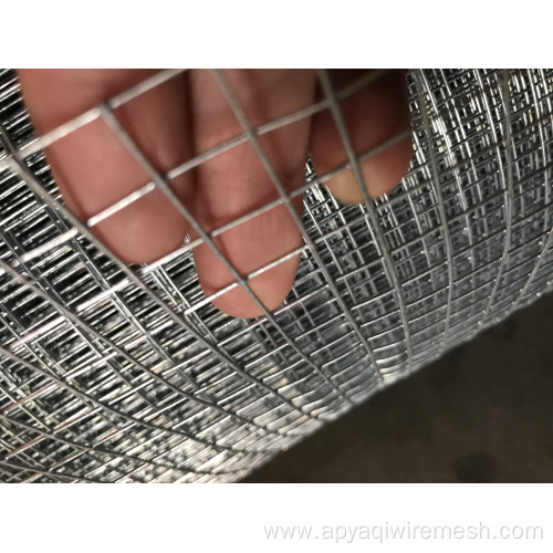 Galvanized welded bird cage galvanized welded mesh